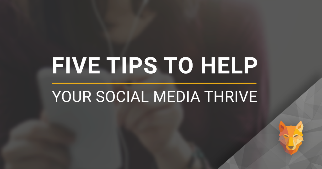Five Tips to Help Your Social Media Thrive