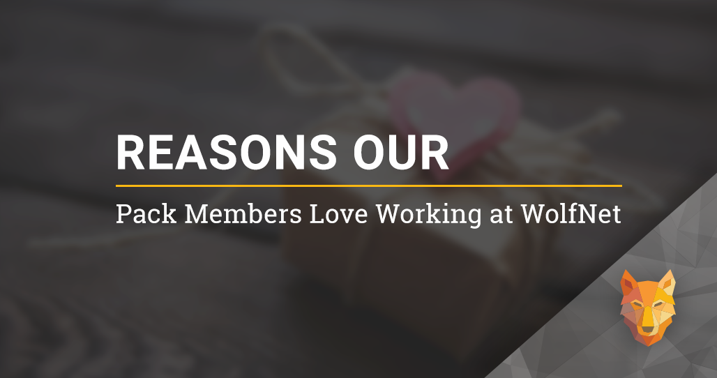 Reasons our Employees Love Working at WolfNet: 2019